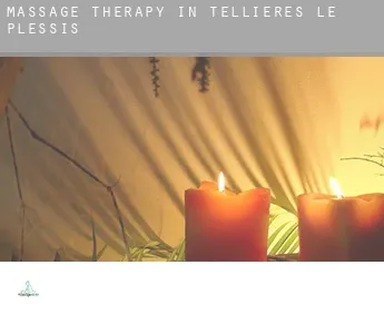 Massage therapy in  Tellières-le-Plessis