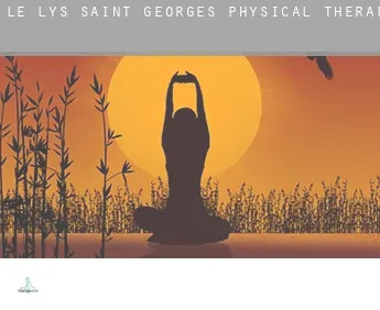 Le Lys-Saint-Georges  physical therapy