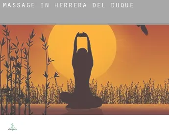 Massage in  Herrera del Duque