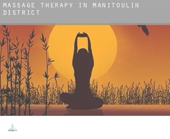 Massage therapy in  Manitoulin District