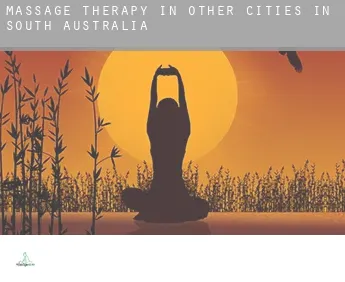 Massage therapy in  Other cities in South Australia