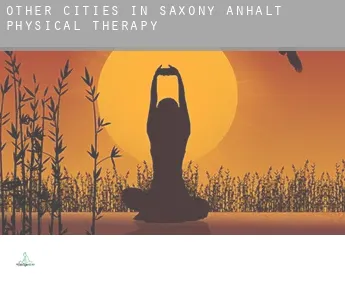 Other cities in Saxony-Anhalt  physical therapy