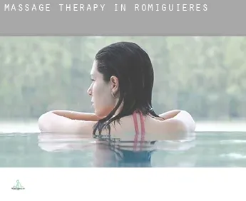 Massage therapy in  Romiguières