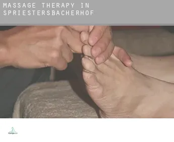 Massage therapy in  Spriestersbacherhof