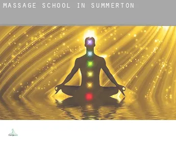 Massage school in  Summerton