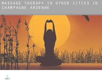 Massage therapy in  Other cities in Champagne-Ardenne