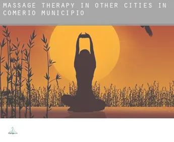 Massage therapy in  Other cities in Comerio Municipio