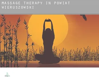 Massage therapy in  Powiat wieruszowski