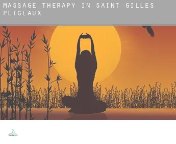 Massage therapy in  Saint-Gilles-Pligeaux