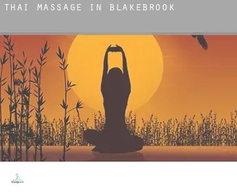 Thai massage in  Blakebrook