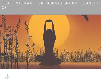 Thai massage in  Monseigneur-Blanche (census area)