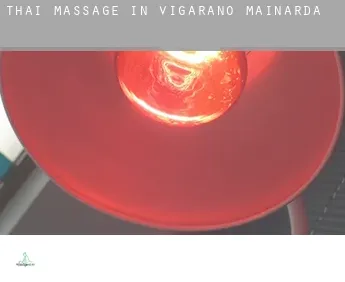 Thai massage in  Vigarano Mainarda