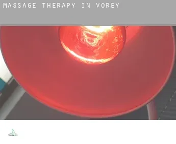 Massage therapy in  Vorey