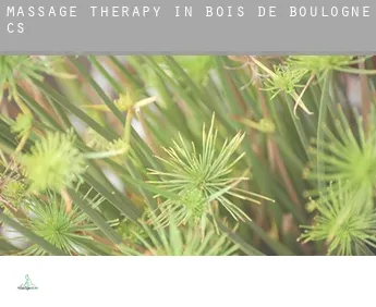 Massage therapy in  Bois-de-Boulogne (census area)