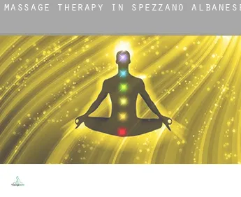 Massage therapy in  Spezzano Albanese