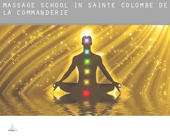 Massage school in Sainte-Colombe-de-la-Commanderie