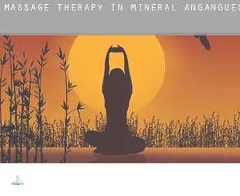 Massage therapy in  Mineral de Angangueo