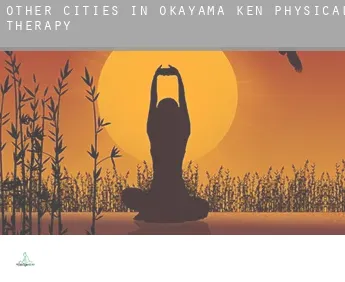 Other cities in Okayama-ken  physical therapy