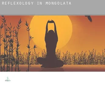 Reflexology in  Mongolata
