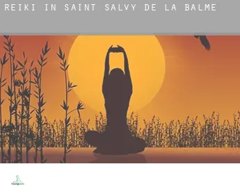 Reiki in  Saint-Salvy-de-la-Balme