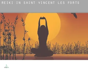 Reiki in  Saint-Vincent-les-Forts