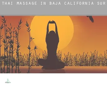 Thai massage in  Baja California Sur