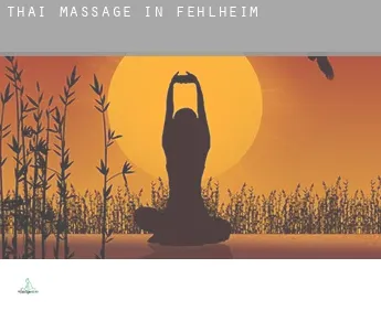 Thai massage in  Fehlheim