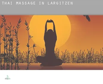 Thai massage in  Largitzen